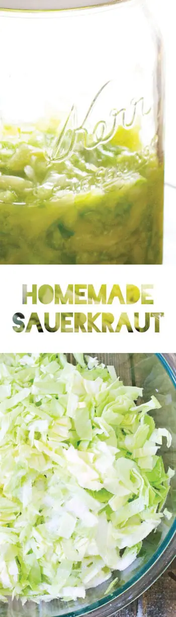 Homemade Sauerkraut Recipe