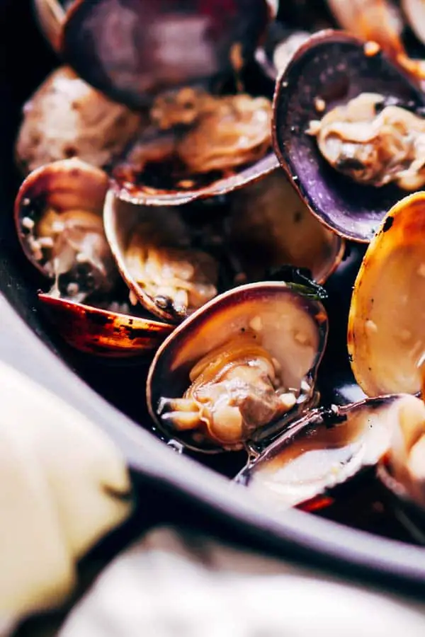 Keto Shellfish Recipes - Steamed Clams on Keto Diet