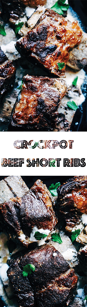 Crockpot Beef Short Ribs Recipe with Creamy Mushroom Sauce [Low Carb, Keto, Slow Cooker]