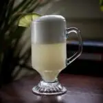 Gin Fizz Cocktail Recipe - Low Carb & Sugar Free!