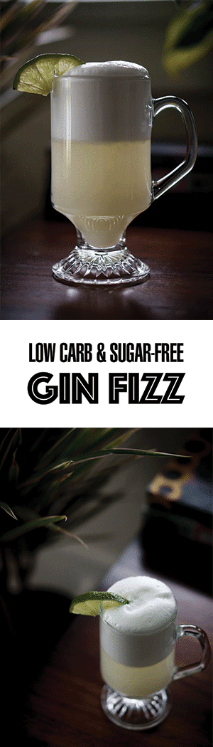 Low Carb Gin Fizz Cocktail Recipe - Sugar-Free!