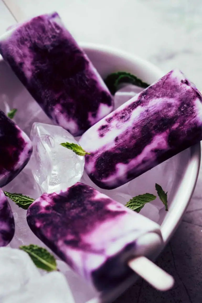 Keto Ice Pops - Popsicles with Coconut Milk, Blueberry, Mint
